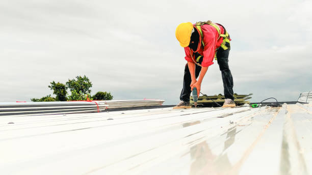 Best Roof Maintenance and Cleaning  in Gurnee, IL